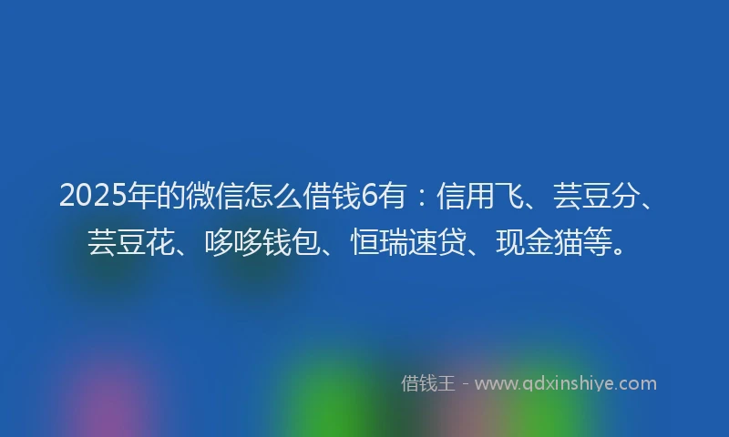 2025年的微信怎么借钱6有：信用飞、芸豆分、芸豆花、哆哆钱包、恒瑞速贷、现金猫等。