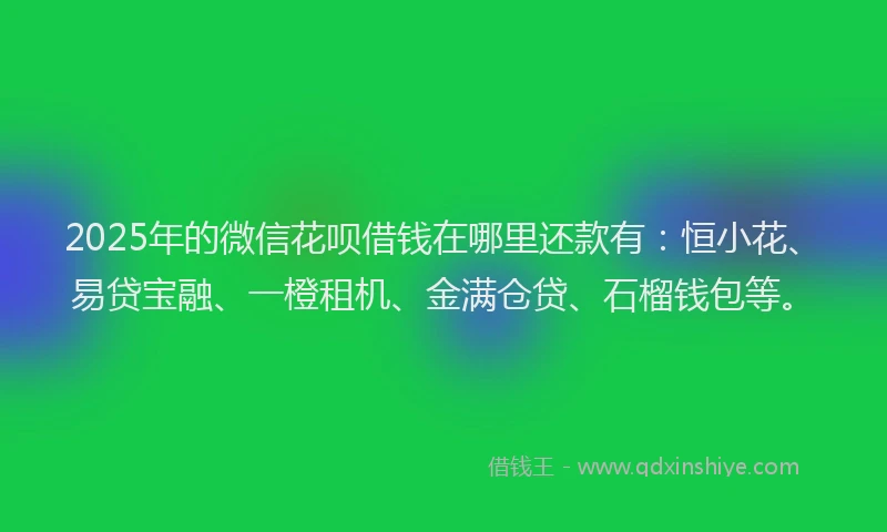 2025年的微信花呗借钱在哪里还款有：恒小花、易贷宝融、一橙租机、金满仓贷、石榴钱包等。