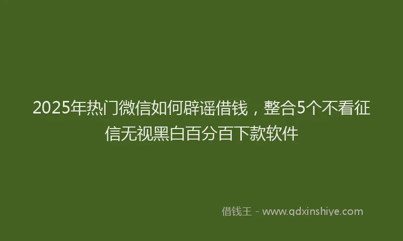 2025年热门微信如何辟谣借钱，整合5个不看征信无视黑白百分百下款软件