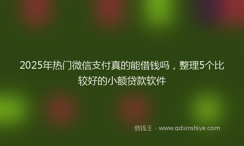 2025年热门微信支付真的能借钱吗，整理5个比较好的小额贷款软件