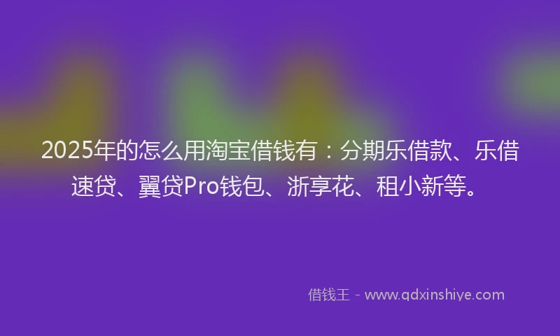 2025年的怎么用淘宝借钱有：分期乐借款、乐借速贷、翼贷Pro钱包、浙享花、租小新等。