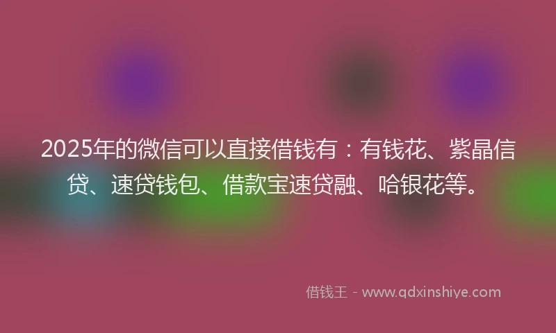 2025年的微信可以直接借钱有：有钱花、紫晶信贷、速贷钱包、借款宝速贷融、哈银花等。
