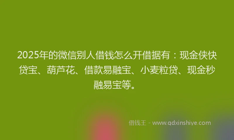 2025年的微信别人借钱怎么开借据有：现金侠快贷宝、葫芦花、借款易融宝、小麦粒贷、现金秒融易宝等。