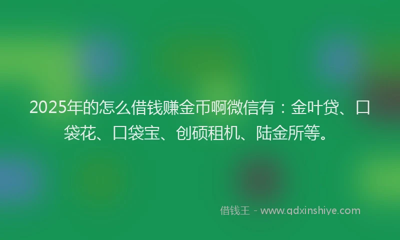2025年的怎么借钱赚金币啊微信有：金叶贷、口袋花、口袋宝、创硕租机、陆金所等。