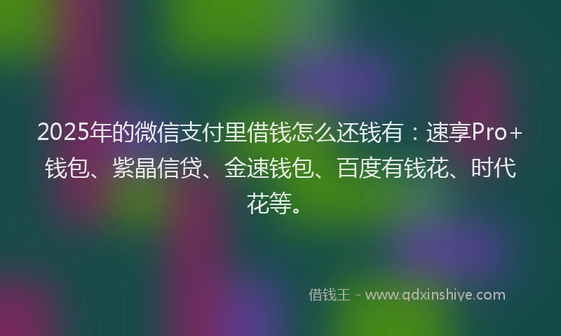 2025年的微信支付里借钱怎么还钱有：速享Pro+钱包、紫晶信贷、金速钱包、百度有钱花、时代花等。