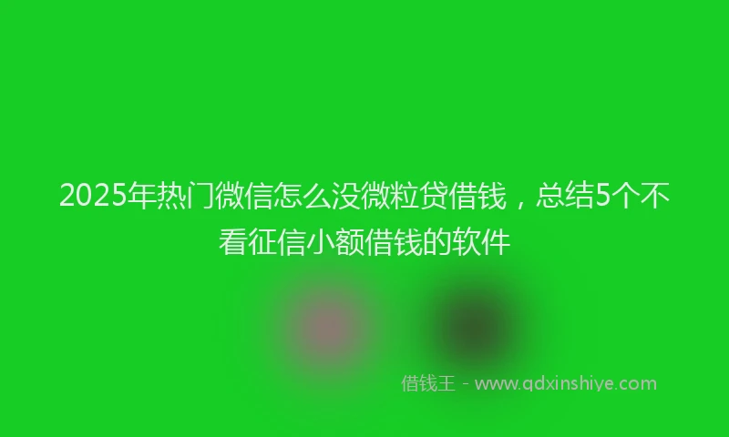 2025年热门微信怎么没微粒贷借钱，总结5个不看征信小额借钱的软件