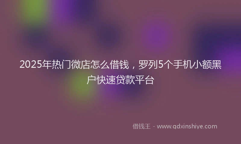 2025年热门微店怎么借钱，罗列5个手机小额黑户快速贷款平台