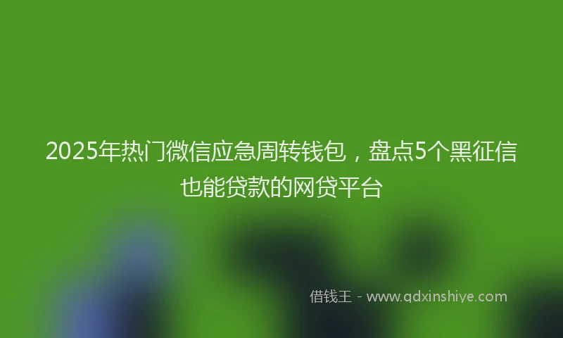 2025年热门微信应急周转钱包，盘点5个黑征信也能贷款的网贷平台