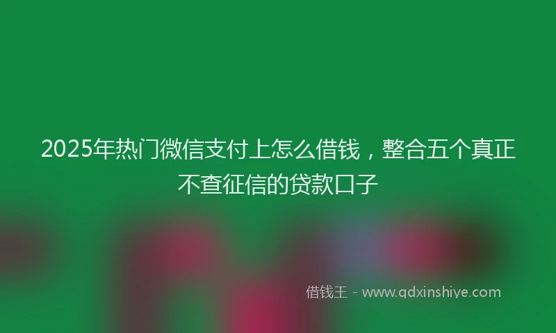 2025年热门微信支付上怎么借钱，整合五个真正不查征信的贷款口子