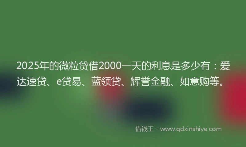 2025年的微粒贷借2000一天的利息是多少有：爱达速贷、e贷易、蓝领贷、辉誉金融、如意购等。