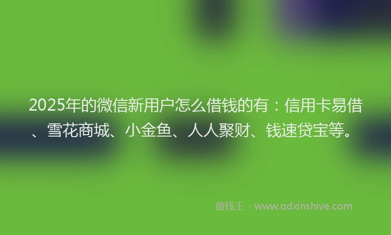 2025年的微信新用户怎么借钱的有：信用卡易借、雪花商城、小金鱼、人人聚财、钱速贷宝等。
