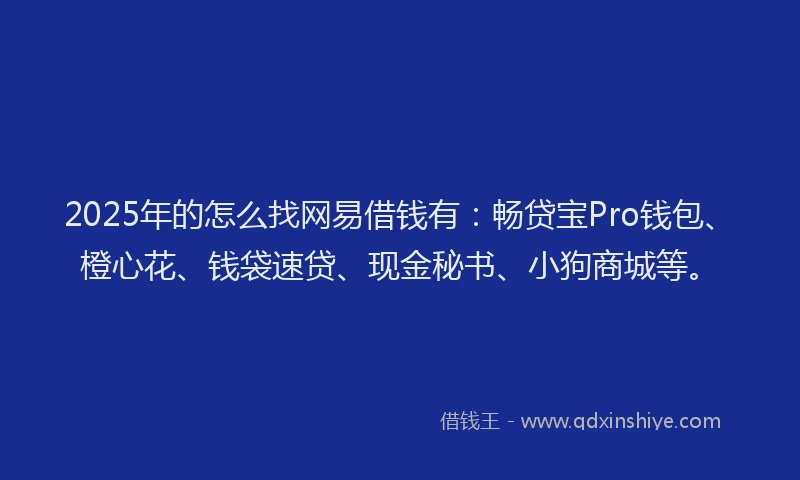 2025年的怎么找网易借钱有：畅贷宝Pro钱包、橙心花、钱袋速贷、现金秘书、小狗商城等。