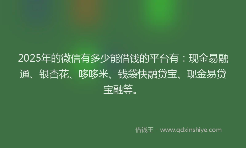 2025年的微信有多少能借钱的平台有：现金易融通、银杏花、哆哆米、钱袋快融贷宝、现金易贷宝融等。