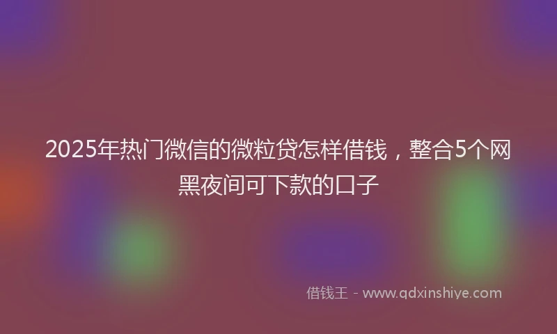 2025年热门微信的微粒贷怎样借钱，整合5个网黑夜间可下款的口子