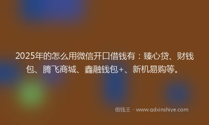 2025年的怎么用微信开口借钱有：臻心贷、财钱包、腾飞商城、鑫融钱包+、新机易购等。