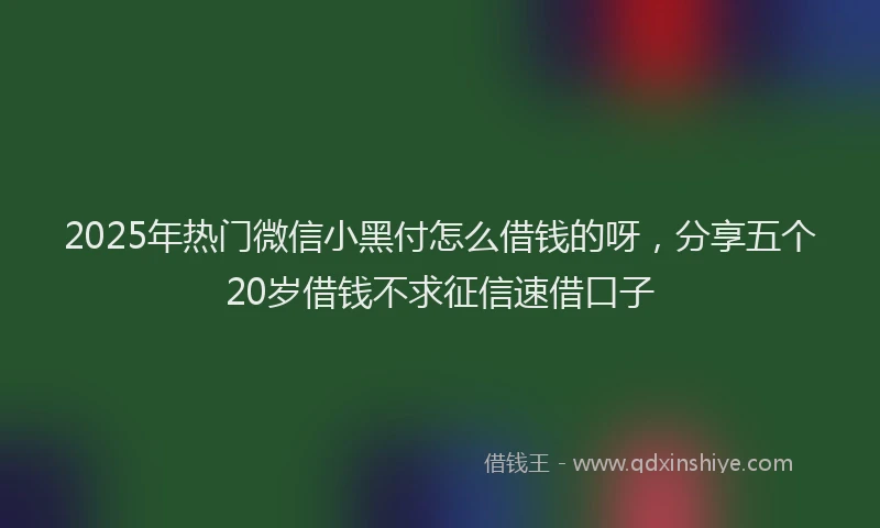 2025年热门微信小黑付怎么借钱的呀，分享五个20岁借钱不求征信速借口子