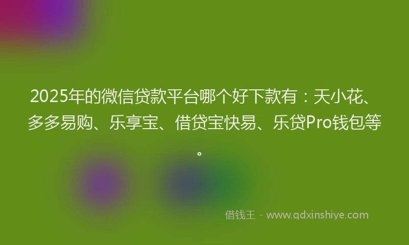 2025年的微信贷款平台哪个好下款有：天小花、多多易购、乐享宝、借贷宝快易、乐贷Pro钱包等。
