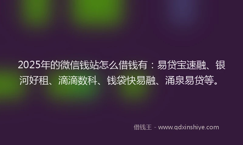 2025年的微信钱站怎么借钱有：易贷宝速融、银河好租、滴滴数科、钱袋快易融、涌泉易贷等。