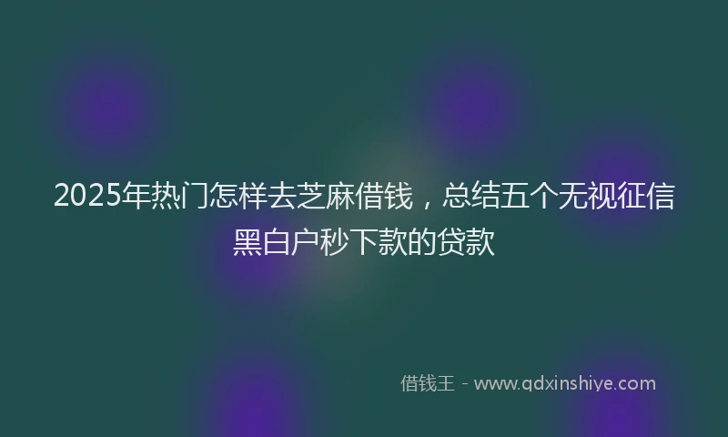 2025年热门怎样去芝麻借钱，总结五个无视征信黑白户秒下款的贷款