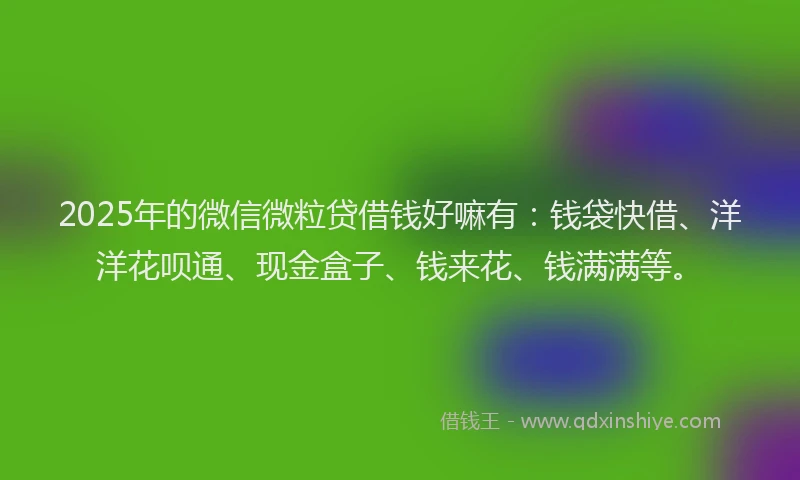 2025年的微信微粒贷借钱好嘛有：钱袋快借、洋洋花呗通、现金盒子、钱来花、钱满满等。