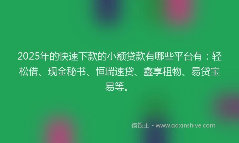 2025年的快速下款的小额贷款有哪些平台有：轻松借、现金秘书、恒瑞速贷、鑫享租物、易贷宝易等。