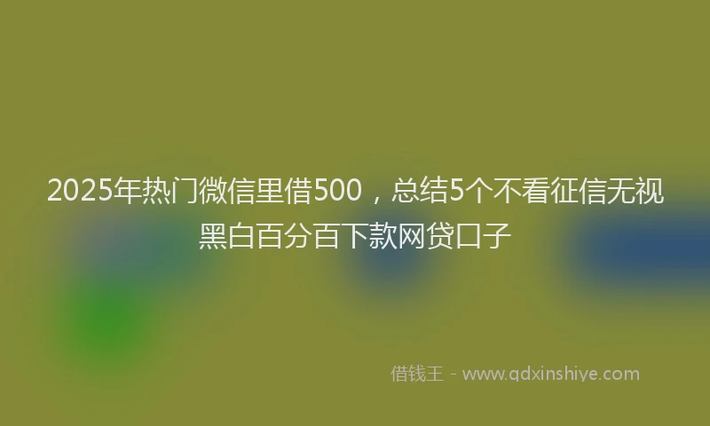 2025年热门微信里借500，总结5个不看征信无视黑白百分百下款网贷口子