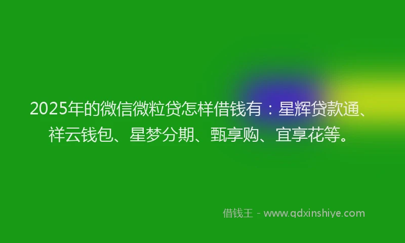 2025年的微信微粒贷怎样借钱有：星辉贷款通、祥云钱包、星梦分期、甄享购、宜享花等。