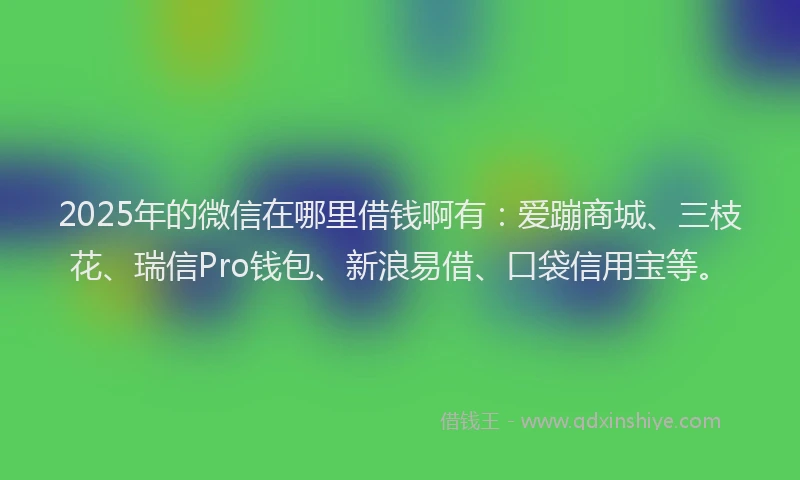 2025年的微信在哪里借钱啊有：爱蹦商城、三枝花、瑞信Pro钱包、新浪易借、口袋信用宝等。