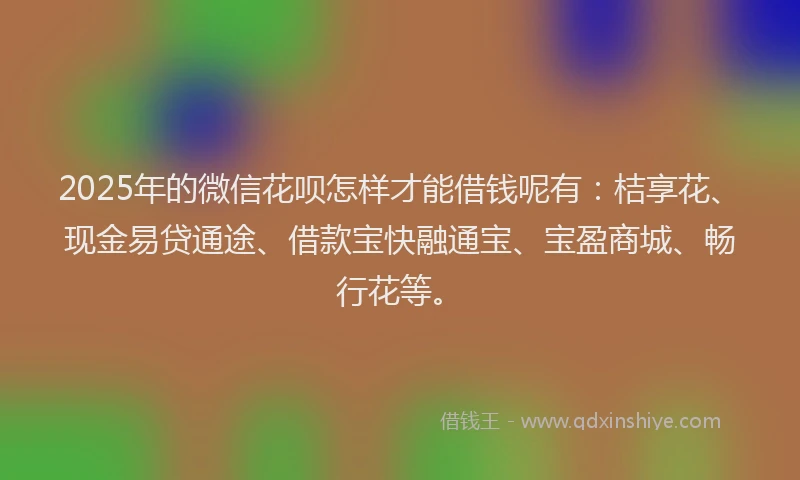 2025年的微信花呗怎样才能借钱呢有：桔享花、现金易贷通途、借款宝快融通宝、宝盈商城、畅行花等。