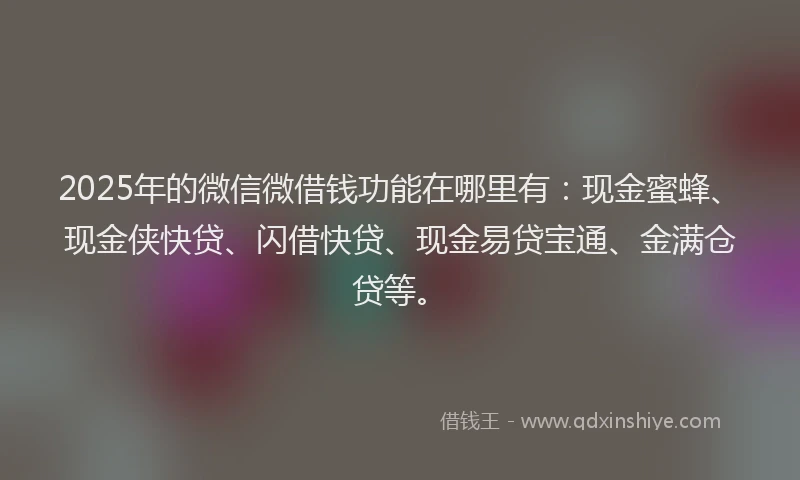 2025年的微信微借钱功能在哪里有：现金蜜蜂、现金侠快贷、闪借快贷、现金易贷宝通、金满仓贷等。