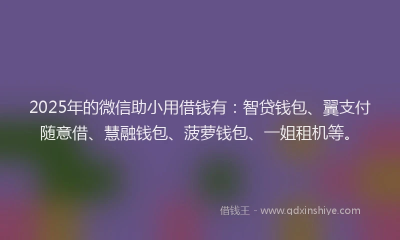 2025年的微信助小用借钱有：智贷钱包、翼支付随意借、慧融钱包、菠萝钱包、一姐租机等。