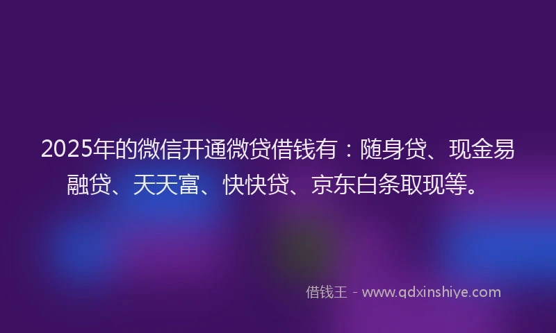 2025年的微信开通微贷借钱有：随身贷、现金易融贷、天天富、快快贷、京东白条取现等。