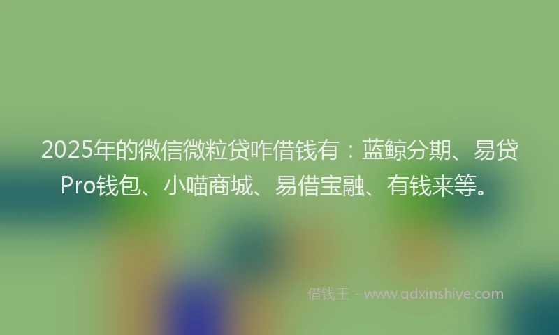 2025年的微信微粒贷咋借钱有：蓝鲸分期、易贷Pro钱包、小喵商城、易借宝融、有钱来等。