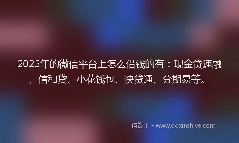2025年的微信平台上怎么借钱的有：现金贷速融、信和贷、小花钱包、快贷通、分期易等。