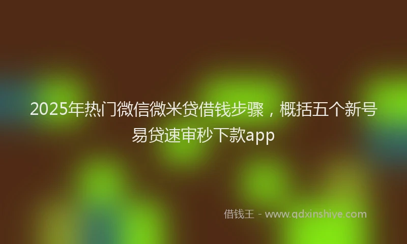 2025年热门微信微米贷借钱步骤，概括五个新号易贷速审秒下款app