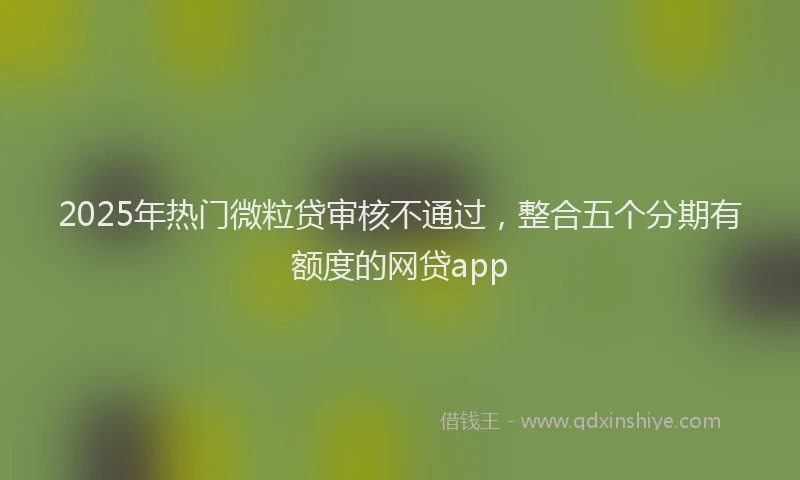 2025年热门微粒贷审核不通过，整合五个分期有额度的网贷app