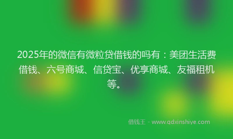 2025年的微信有微粒贷借钱的吗有：美团生活费借钱、六号商城、信贷宝、优享商城、友福租机等。
