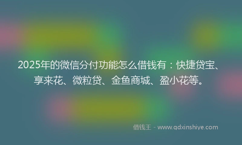 2025年的微信分付功能怎么借钱有：快捷贷宝、享来花、微粒贷、金鱼商城、盈小花等。