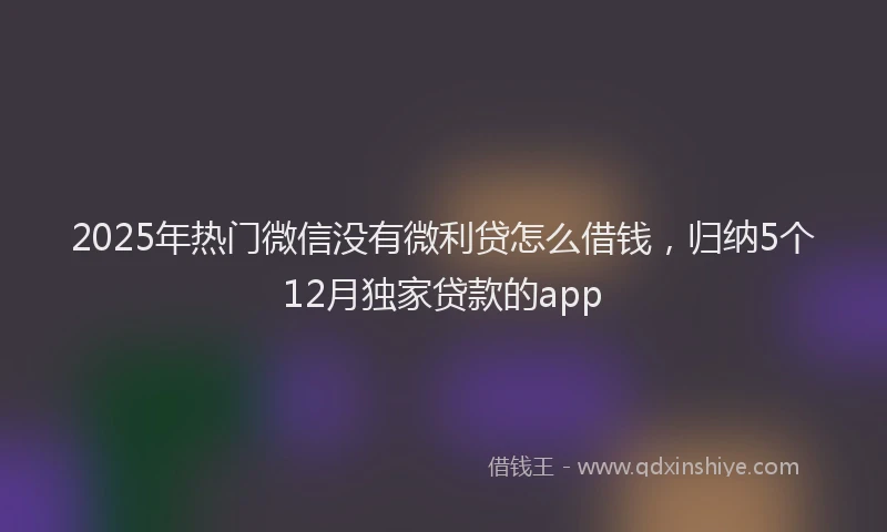 2025年热门微信没有微利贷怎么借钱，归纳5个12月独家贷款的app