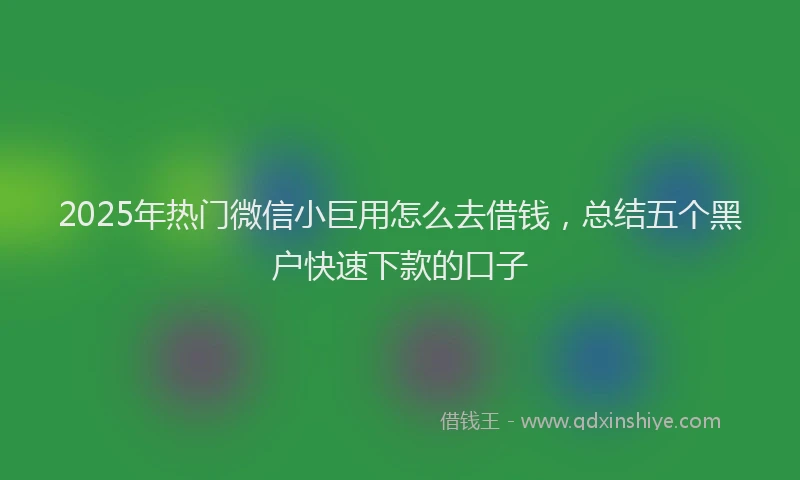 2025年热门微信小巨用怎么去借钱，总结五个黑户快速下款的口子