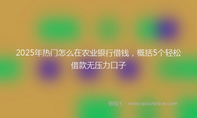 2025年热门怎么在农业银行借钱，概括5个轻松借款无压力口子