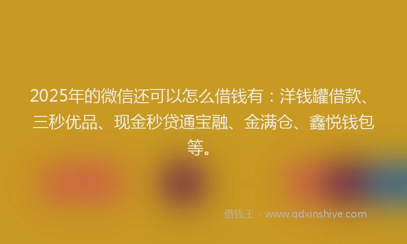 2025年的微信还可以怎么借钱有：洋钱罐借款、三秒优品、现金秒贷通宝融、金满仓、鑫悦钱包等。