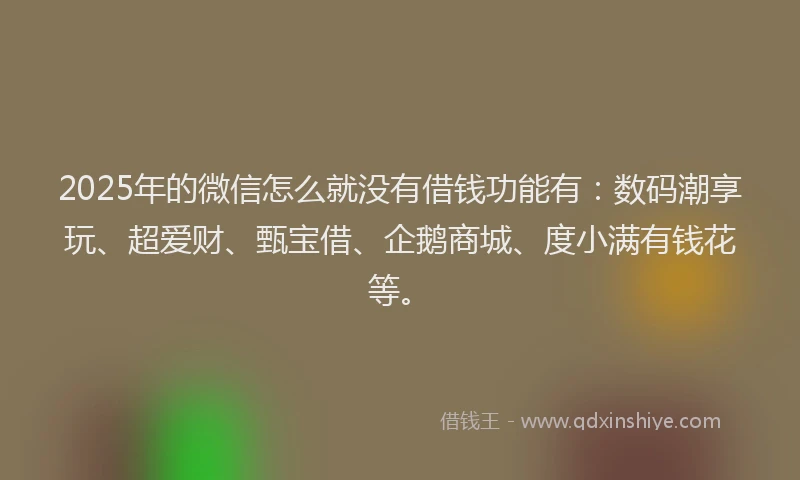 2025年的微信怎么就没有借钱功能有:数码潮享玩、超爱财、甄宝借、企鹅商城、度小满有钱花等。