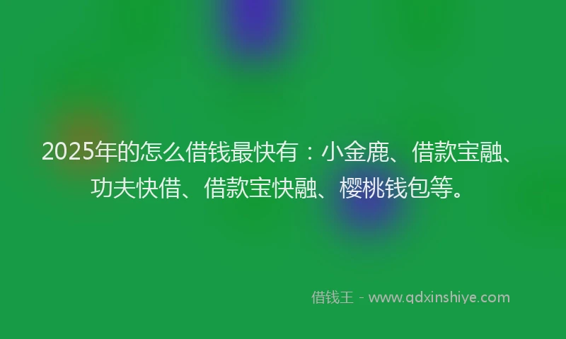 2025年的怎么借钱最快有：小金鹿、借款宝融、功夫快借、借款宝快融、樱桃钱包等。