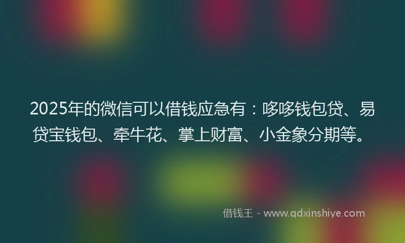 2025年的微信可以借钱应急有：哆哆钱包贷、易贷宝钱包、牵牛花、掌上财富、小金象分期等。