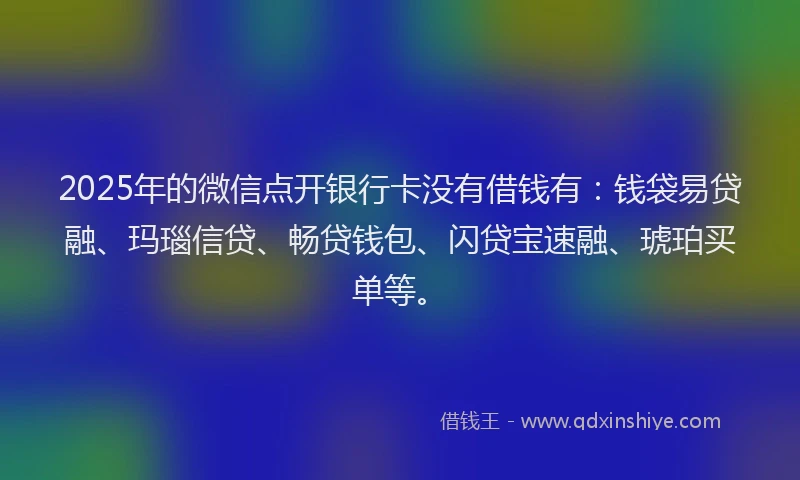 2025年的微信点开银行卡没有借钱有：钱袋易贷融、玛瑙信贷、畅贷钱包、闪贷宝速融、琥珀买单等。