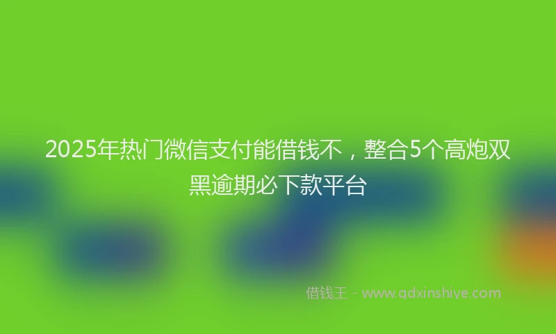 2025年热门微信支付能借钱不，整合5个高炮双黑逾期必下款平台