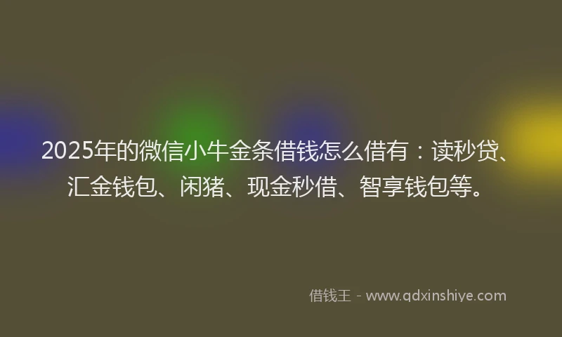 2025年的微信小牛金条借钱怎么借有：读秒贷、汇金钱包、闲猪、现金秒借、智享钱包等。