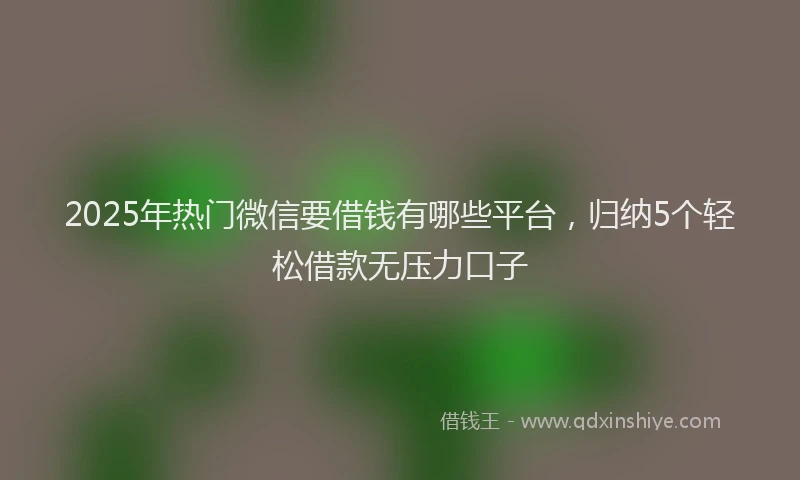 2025年热门微信要借钱有哪些平台，归纳5个轻松借款无压力口子