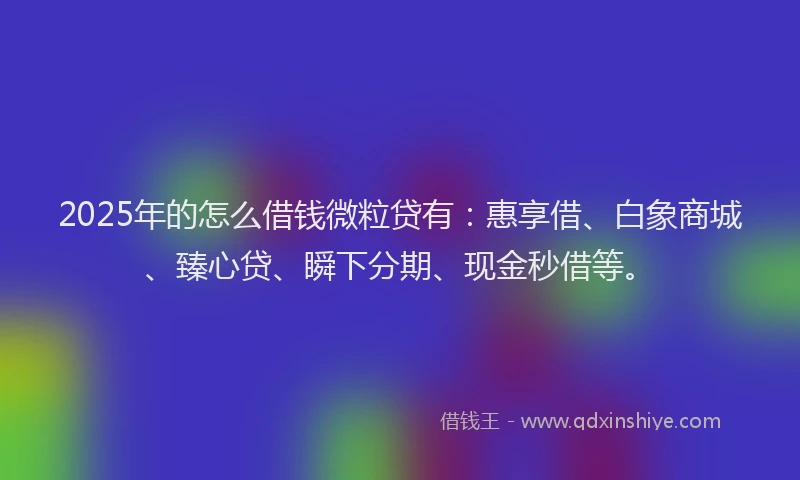 2025年的怎么借钱微粒贷有：惠享借、白象商城、臻心贷、瞬下分期、现金秒借等。